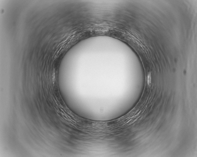 X0000088021299200705110715