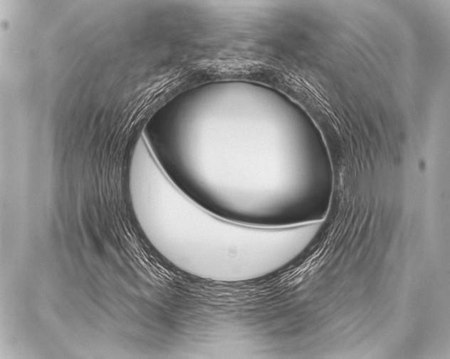 X0000088021300200705110715