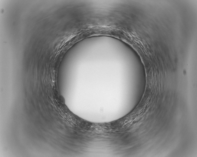 X0000088021301200705110715