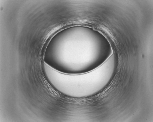 X0000088021308200705110715