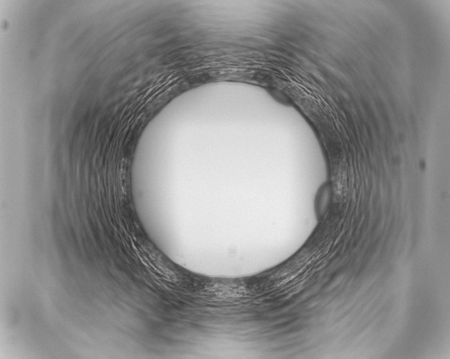 X0000088021346200705110715