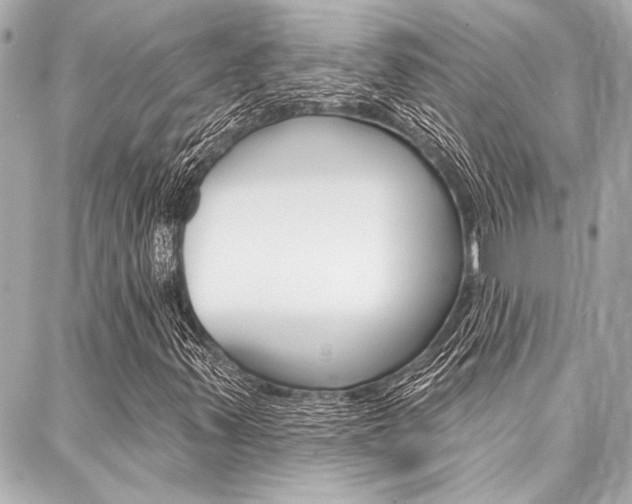 X0000088021347200705110715