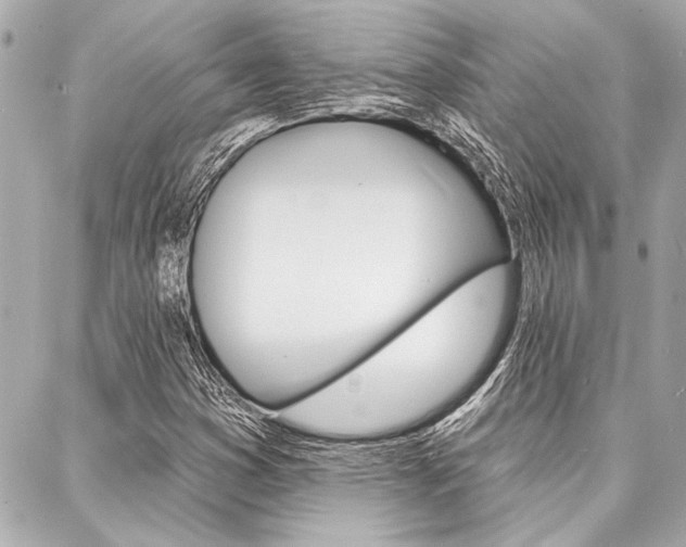 X0000088021353200705110715