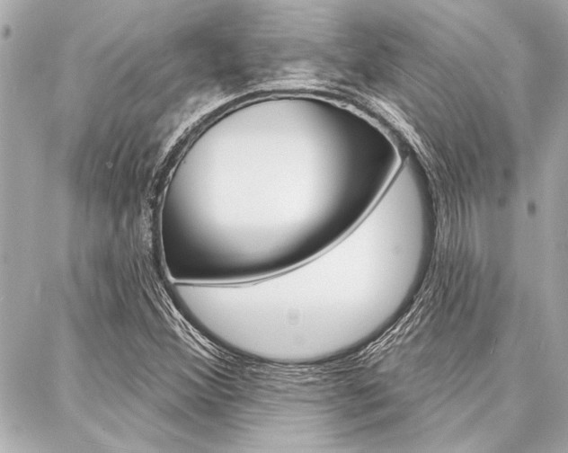 X0000088021356200705110715