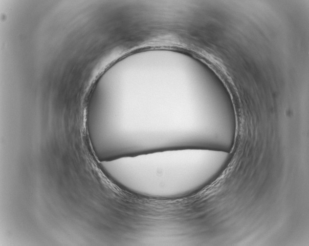 X0000088021366200705110715