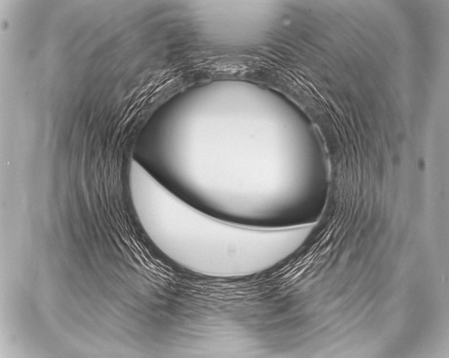 X0000088021394200705110713