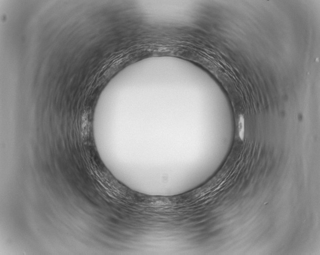 X0000088021395200705110713