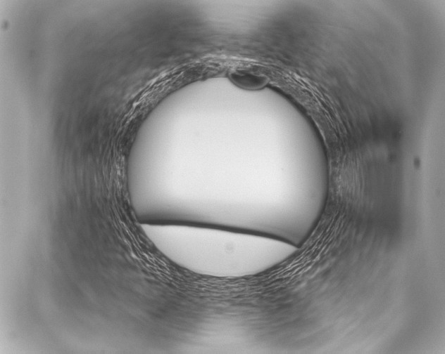 X0000088021397200705110713