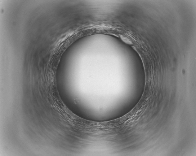 X0000088021398200705110713