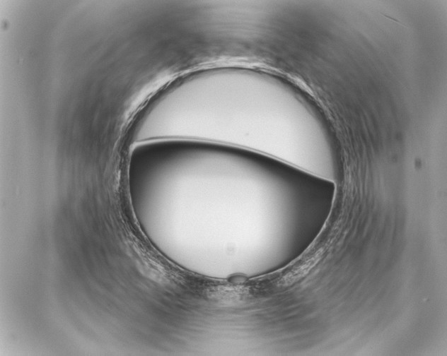 X0000088021406200705110714