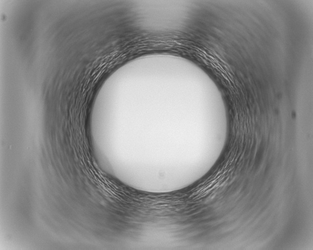 X0000088021441200705110713