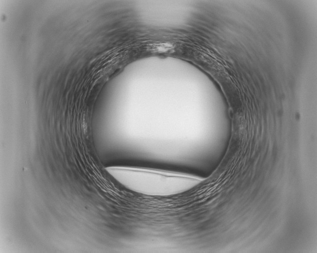X0000088021442200705110713