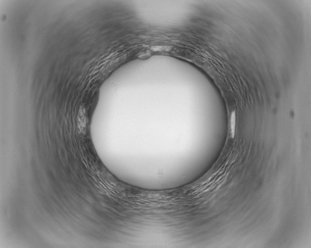 X0000088021443200705110713
