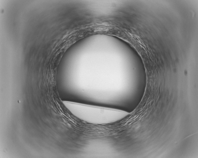 X0000088021445200705110713