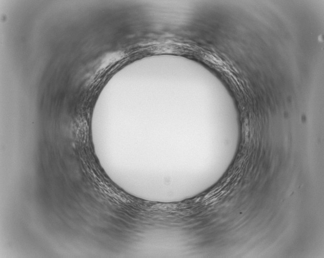 X0000088021446200705110713