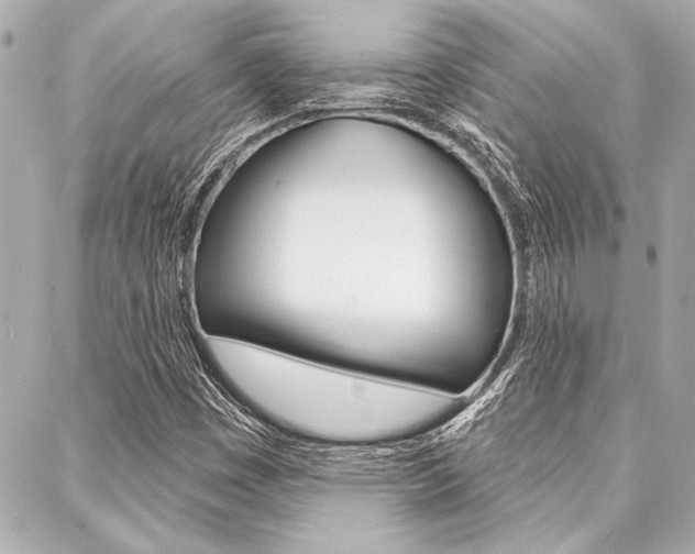 X0000088021449200705110713