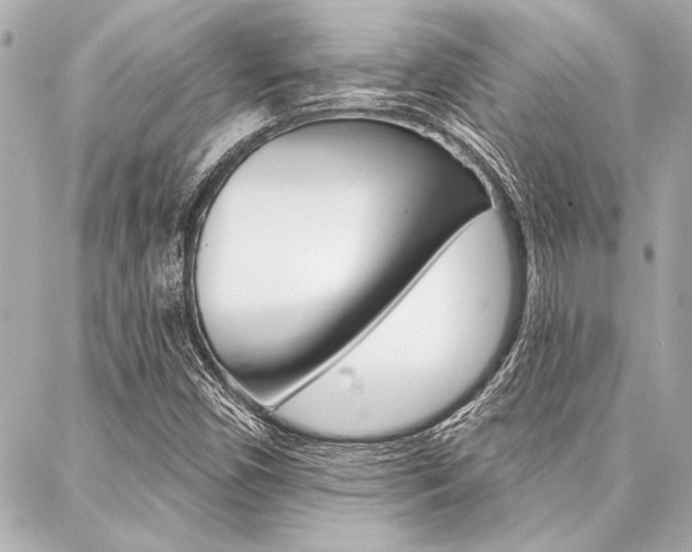 X0000088021450200705110713