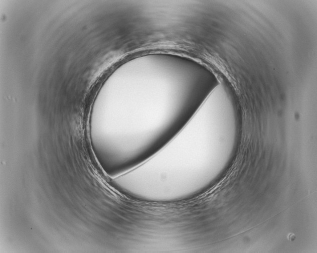 X0000088021452200705110713