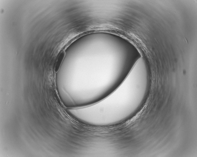 X0000088021457200705110713