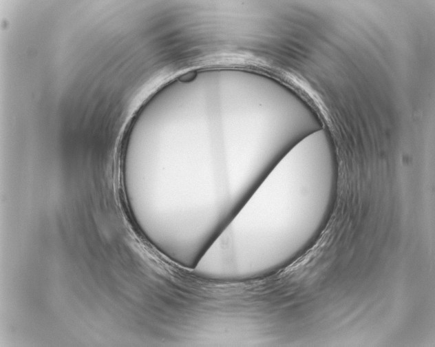 X0000088021467200705110713