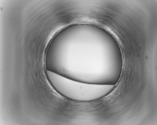 X0000088021477200705110713