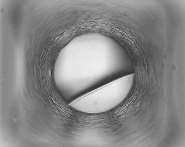 X0000088021489200705110712
