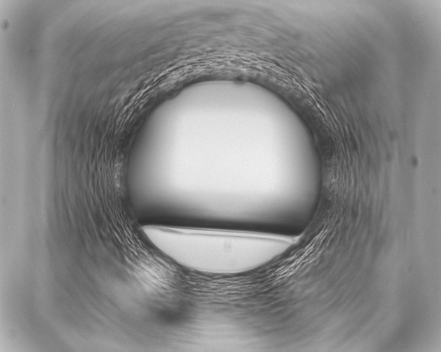 X0000088021490200705110712