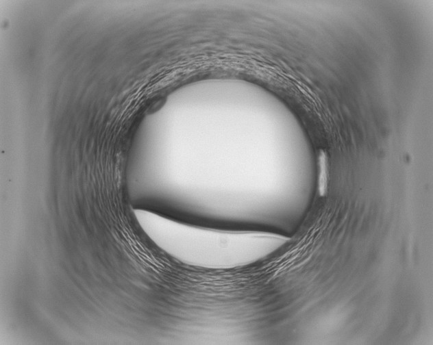 X0000088021491200705110712