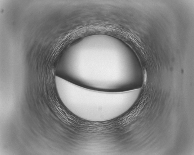 X0000088021492200705110712
