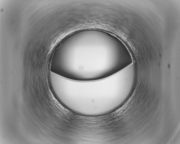 X0000088021500200705110712