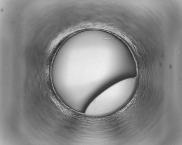 X0000088021503200705110712