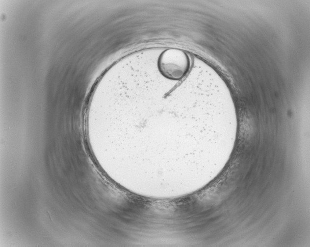 X0000088021514200705110712