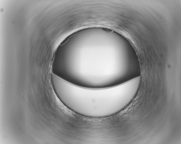 X0000088021524200705110712