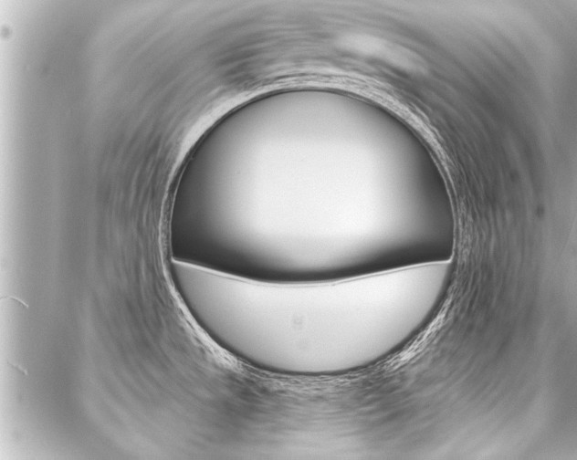 X0000088021533200705110713