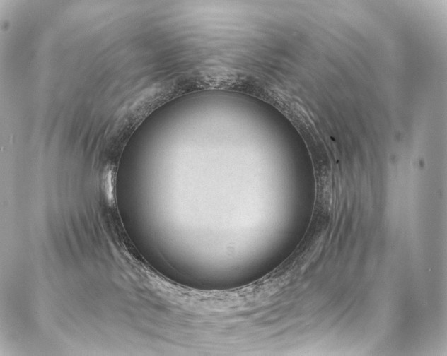 X0000088020042200705111140