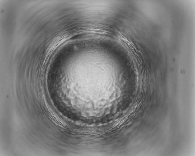 X0000088020049200705111139