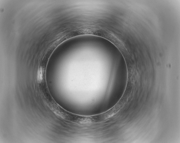 X0000088020075200705111140
