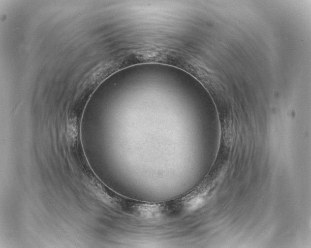 X0000088020085200705111140