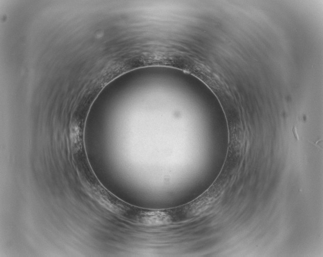X0000088020087200705111140
