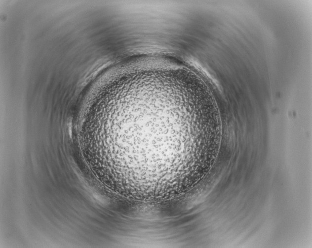X0000088020117200705111139
