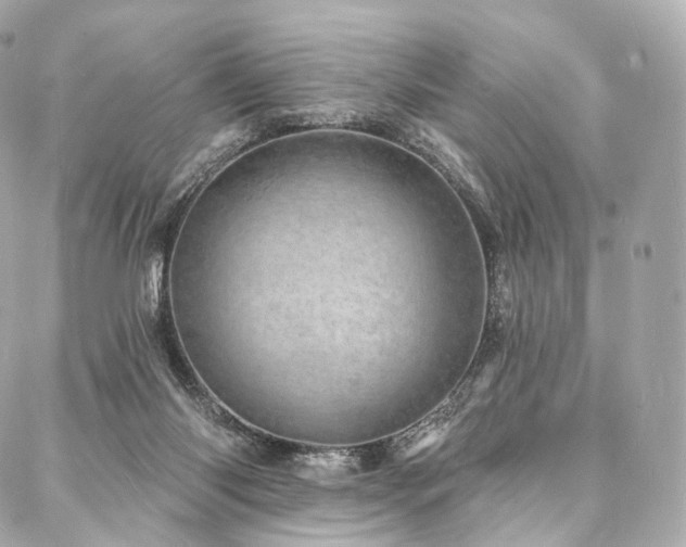 X0000088020118200705111139