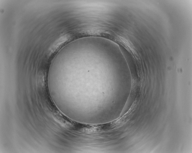 X0000088020120200705111139