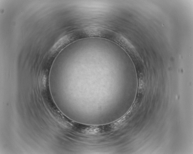 X0000088020124200705111139