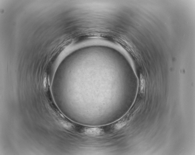 X0000088020125200705111139