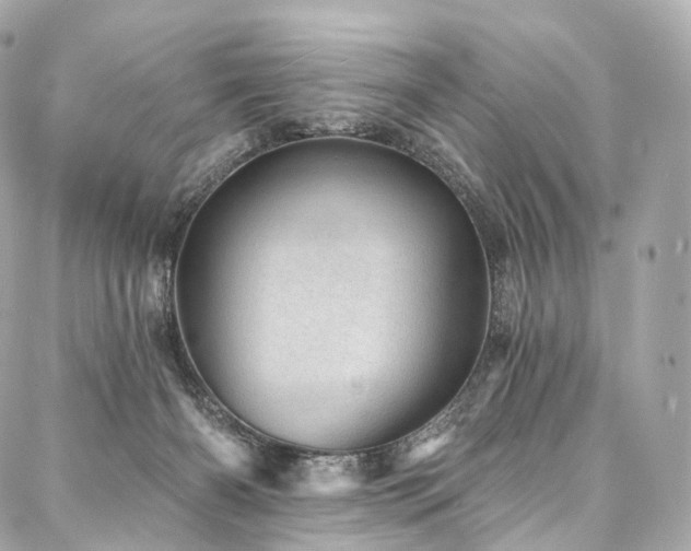X0000088020126200705111139