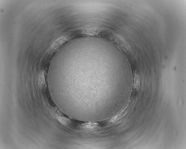 X0000088020128200705111139