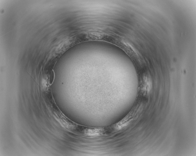 X0000088020134200705111139