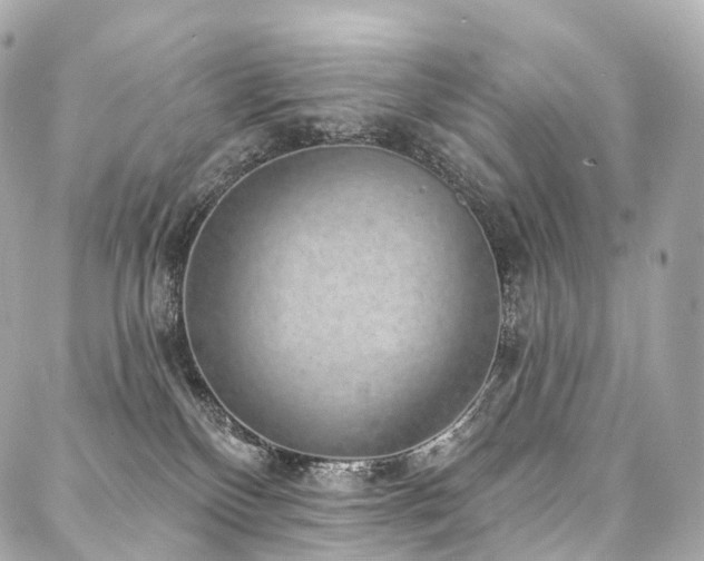 X0000088020136200705111139
