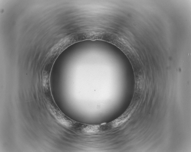 X0000088020138200705111139