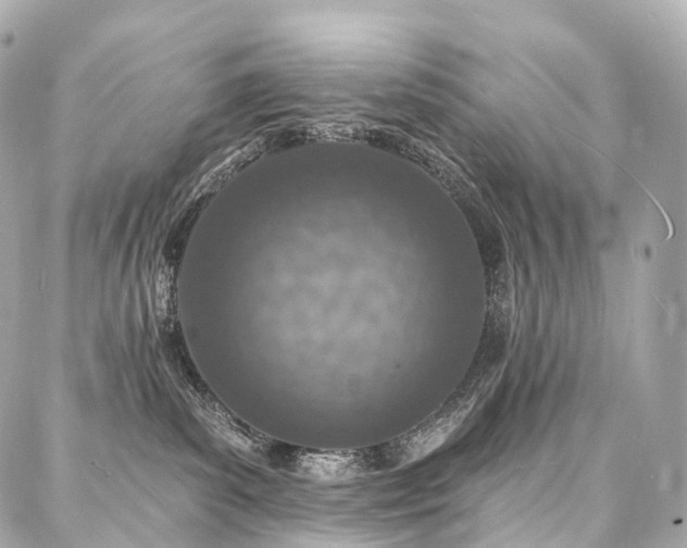 X0000088020139200705111139